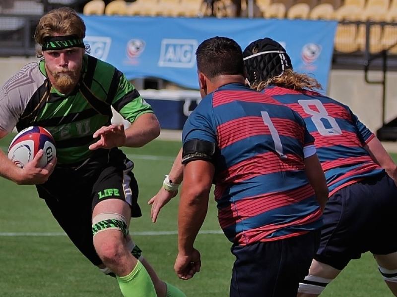 lifevsmcc diafinal hawkphoto 5 0