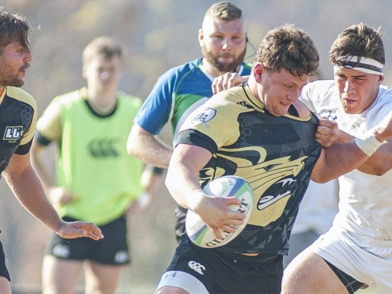 lindenwood navy fall 2016 mccoskey 3
