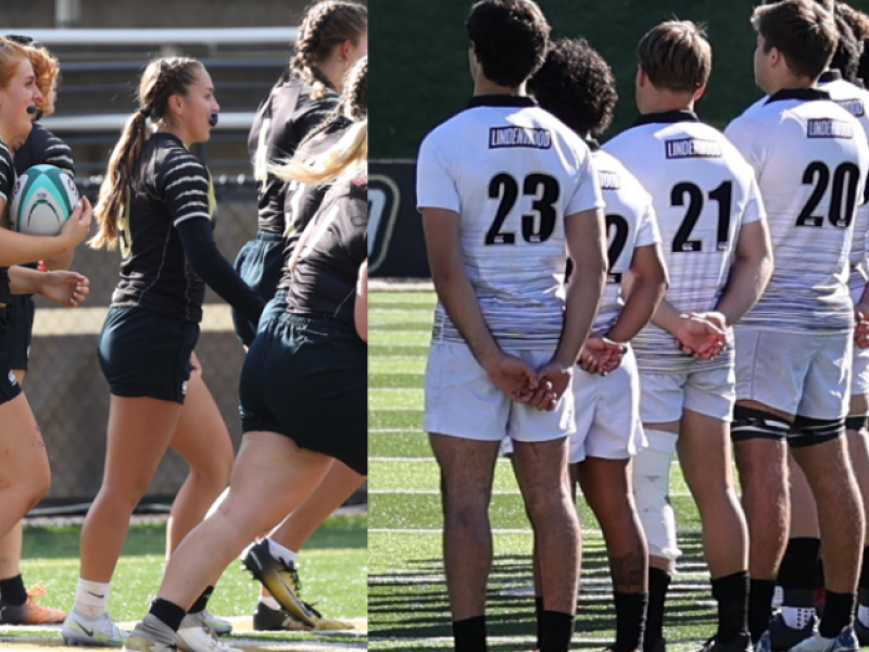 lindenwood combo