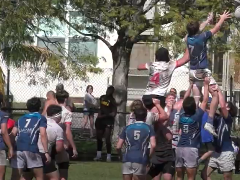 lineout key biscayne vs okapi