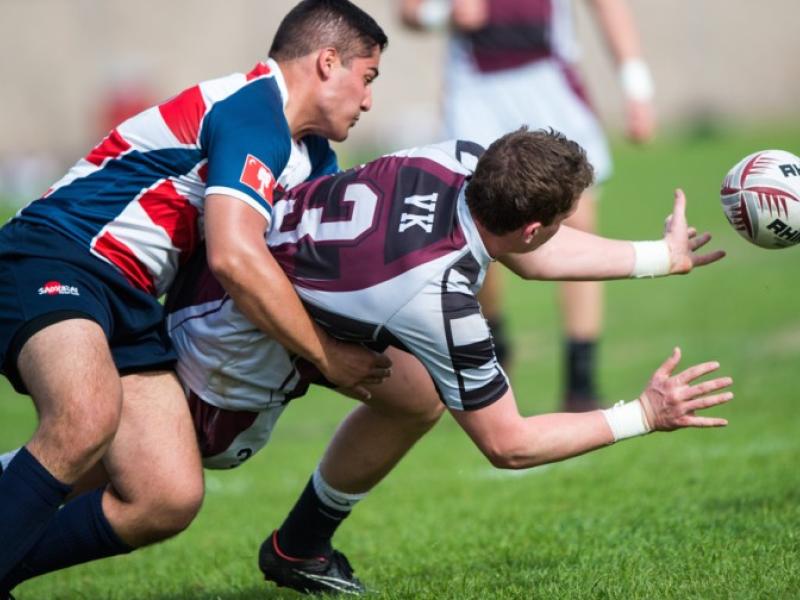 lvi d1 449 2016 barpal