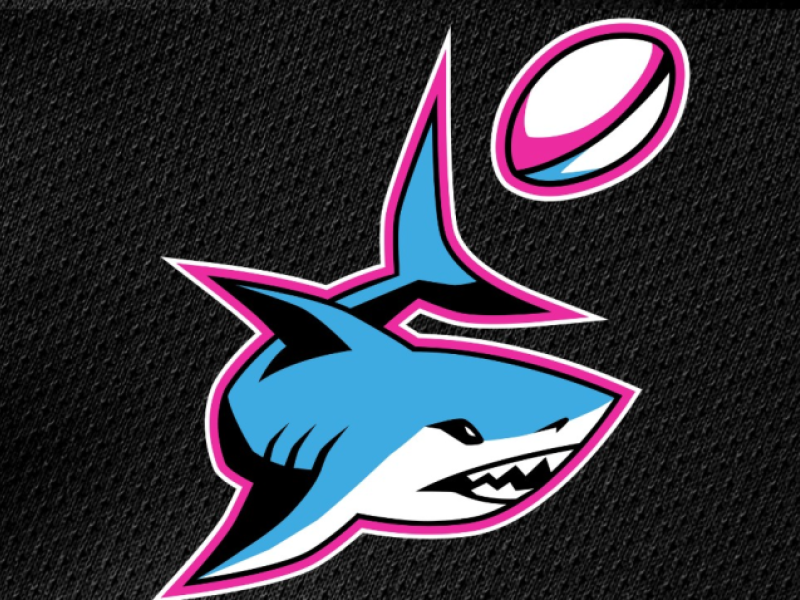 miami sharks logo 3