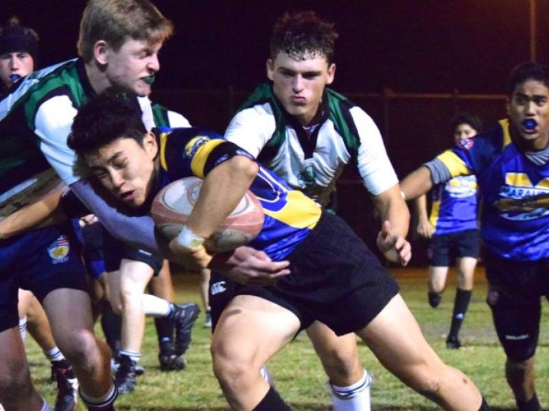 miramesavcoronado dec 2016