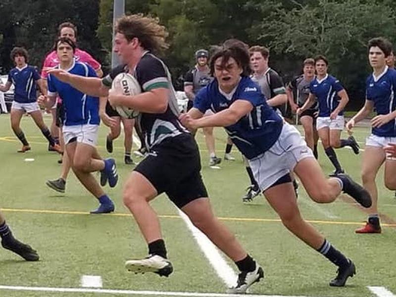 naples hammerheads 2021 2