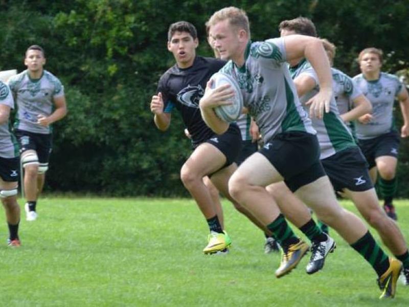 naplesbearsmarch2015