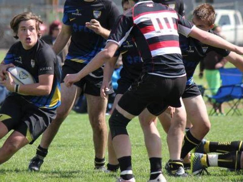 newberghsoregon 2015 2