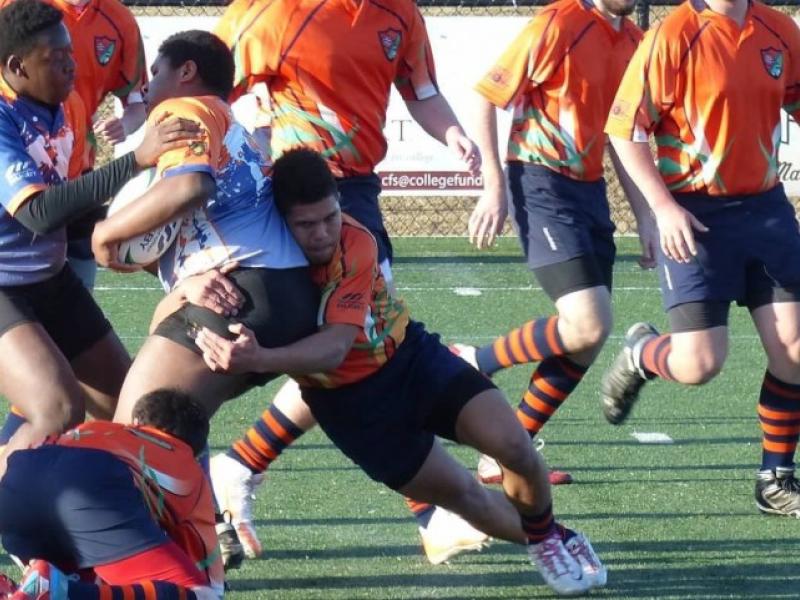 northbay maryland stefasimmons linda zvitkovitz 0