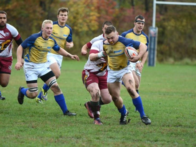 notredamecollegefalcons 1 1