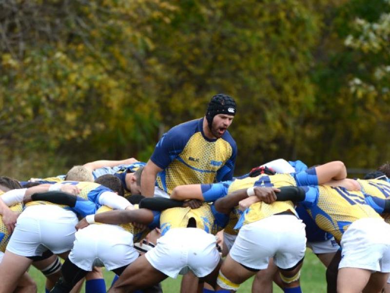 notredamecollegefalconshuddle