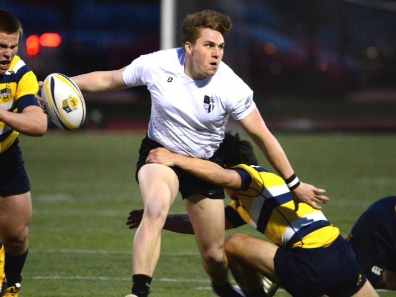 pennvignatius tidey 2016 1