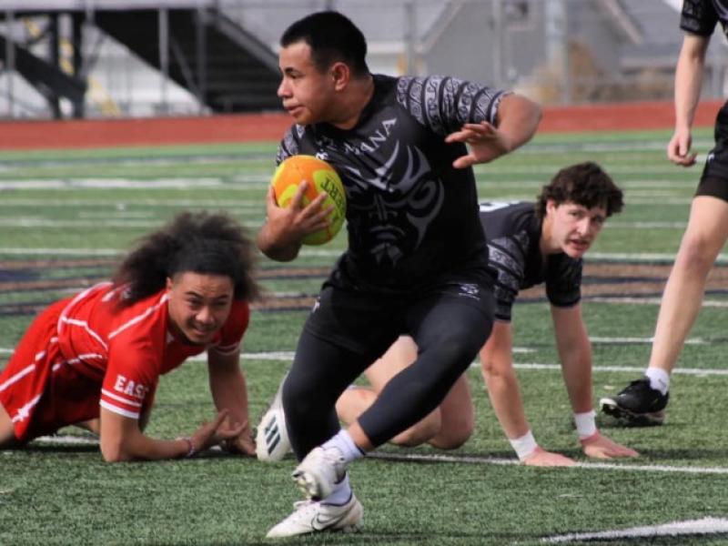 rqa puriri inv 2023 1