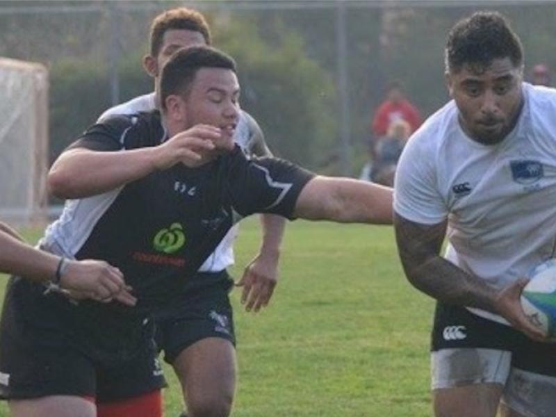 santabarbaraoda nzinstitute of sport