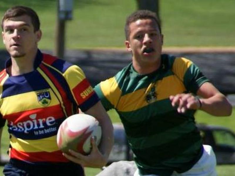 shackelford westshore