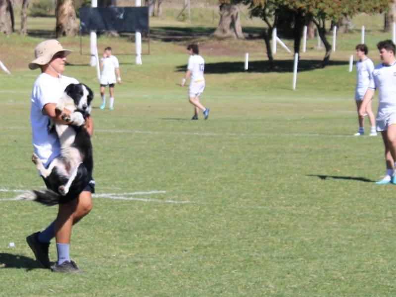 sihs u16 v mdp noah orlando 6682