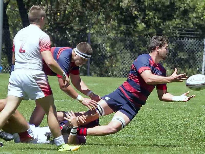 smc v arizona 2017 geib 7