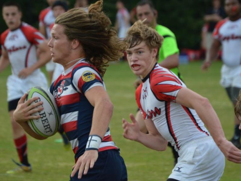 southdoyle harley wheeler