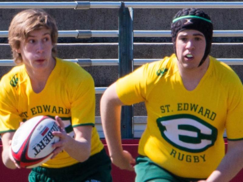 stedward ohio 2016 alison bradfield 1