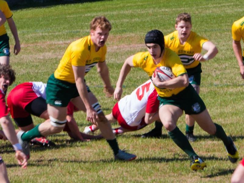 stedward ohio 2016 alison bradfield 2