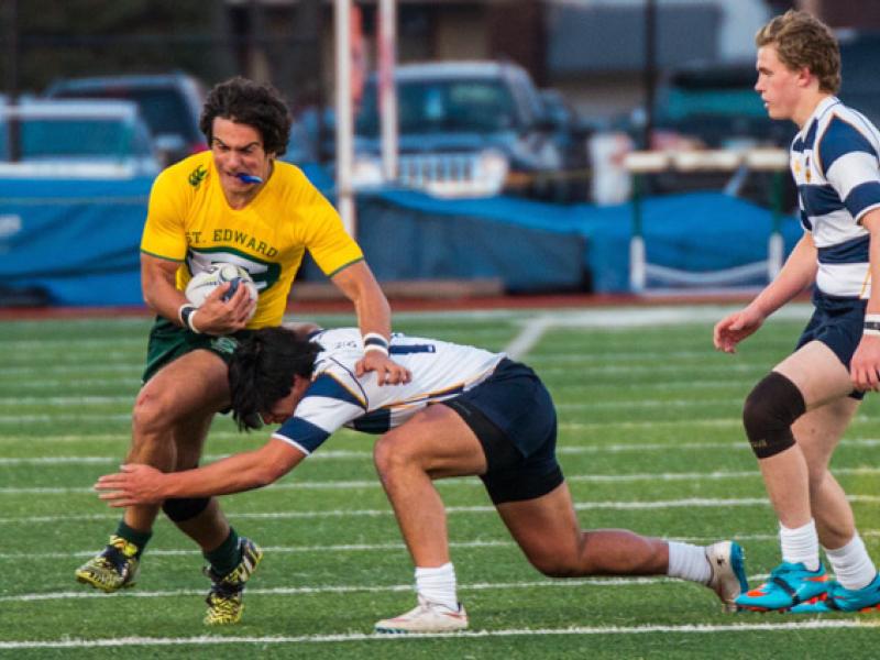 stedward zach heisterkamp allison bradfield