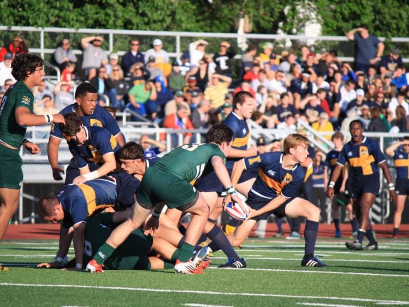 stignatiusvst edward ohiofinal 2015 4