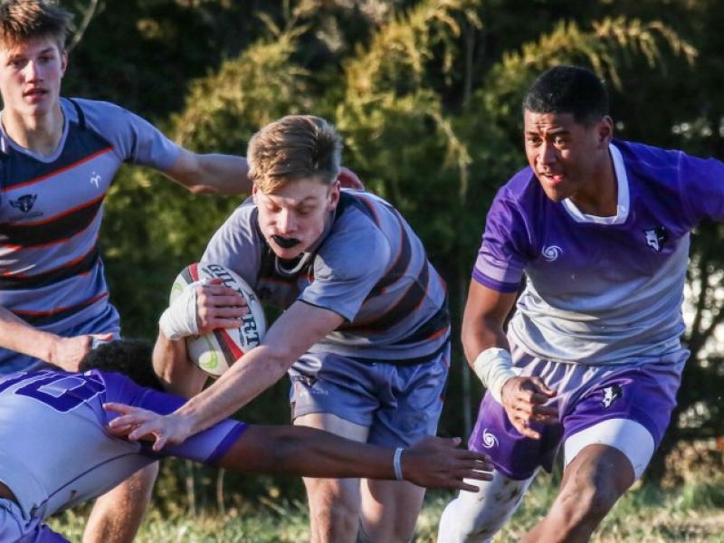 stmartins 318 griff hastings