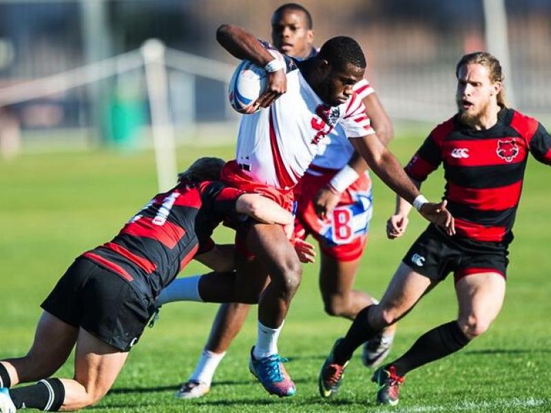 stonyvarkstate 2015 lvi barpal 1