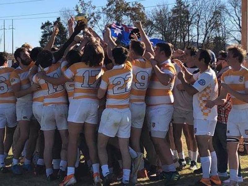 tennessee celebrates