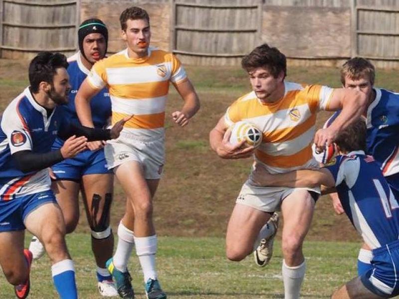 tennesseevflorida 2016 3