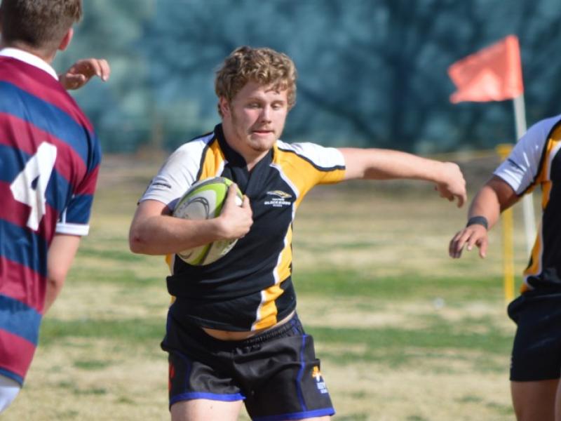 tusconblackbirds 2017 4 0