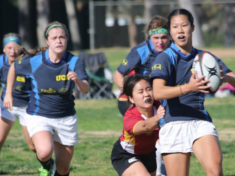 ucrVusc lindalewishecht