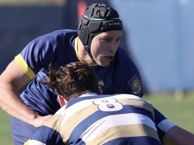 ucsc v uc davis 2023
