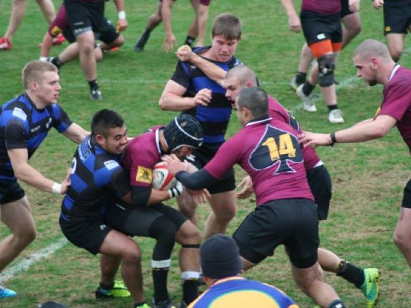 umd salisbury 2013 1 0