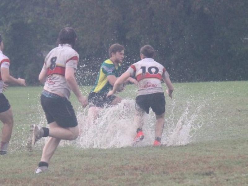 umst vs pitt 2019   mt rugby 4