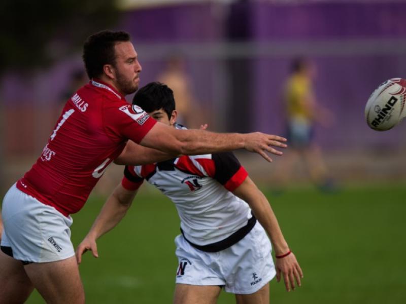 utah lvi d1 barpal 489