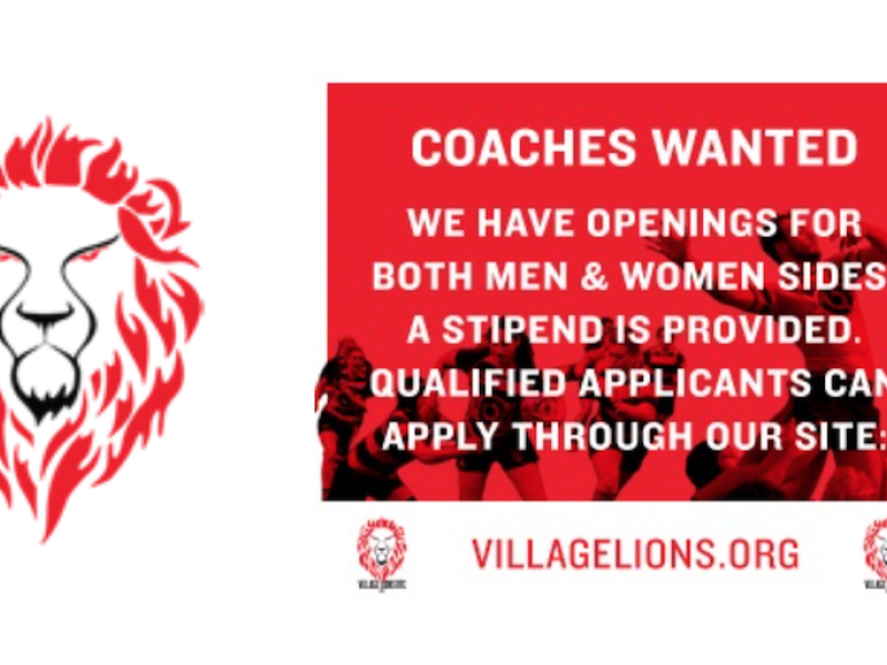 village lions logos