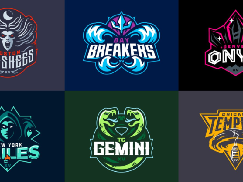 wer team logos