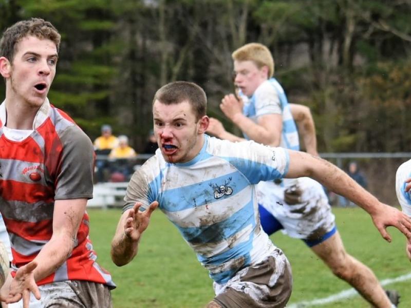 westallegheny 2017 bill stout 3