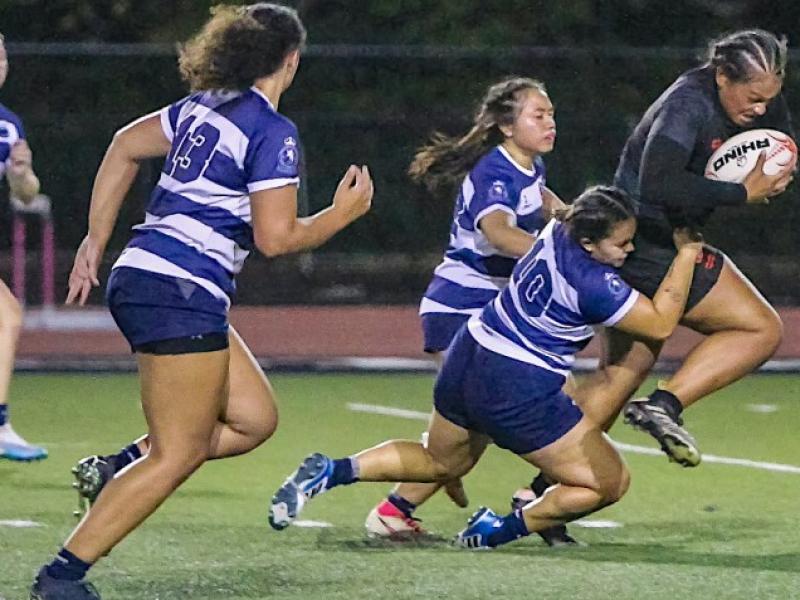wheeling vs penn state women 2024 terry hancock