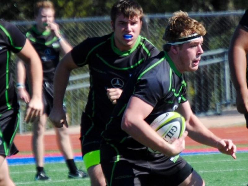 woodlands liz gaunt rayton 2017 2