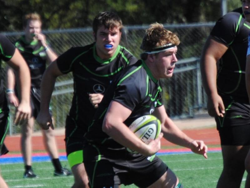 woodlands stijn albers liz rayton 1