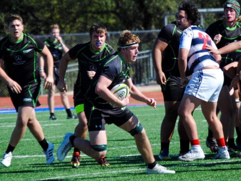 woodlandsvwestlake 2017 liz gaunt rayton 1