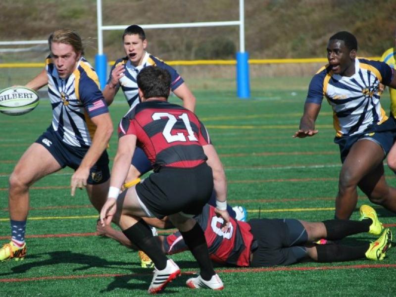 wvu v stjoes 2014 rhonda lockwood 3 0