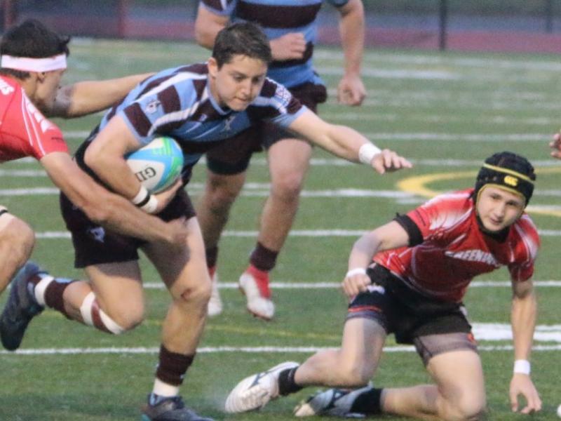 xavier v greenwich david treussard 2018 1