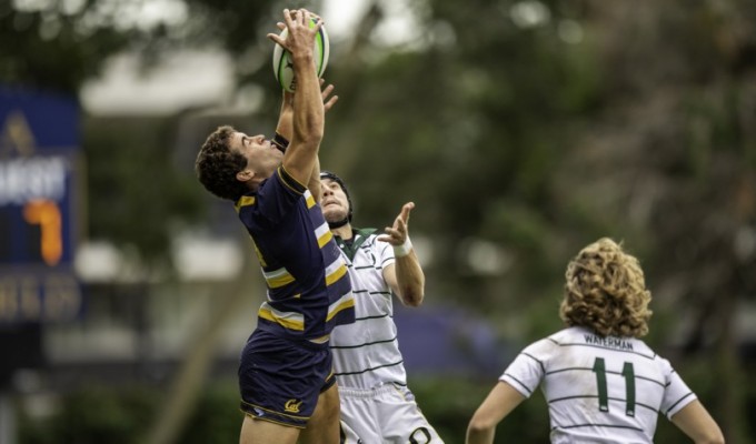 Cal reaches high against Oregon. David Barpal photo.