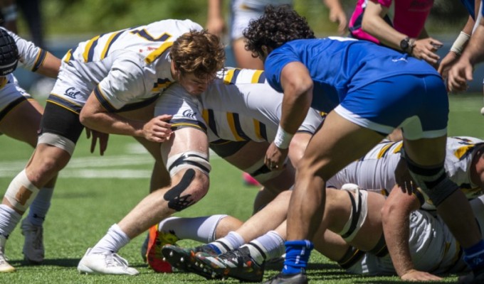 Cal fighting for the ball in the ruck. David Barpal photo.