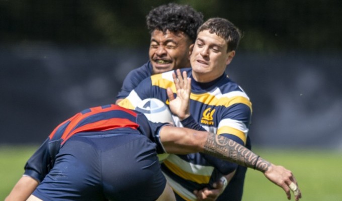 Cal vs Saint Mary's from 2024. David Barpal photo.