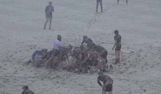 Screenshot from the live stream. It snowed.