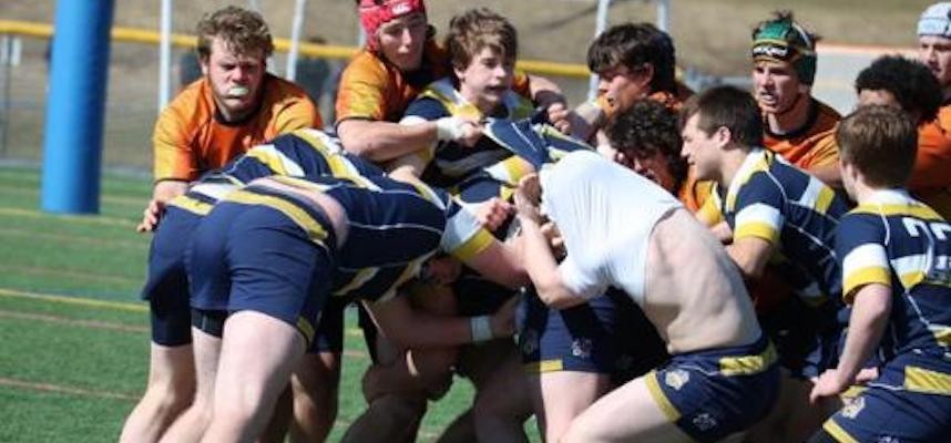 Rugby sport shirt best sale