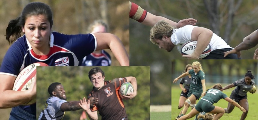 Rugby union discount update