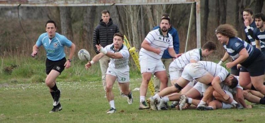 rugby now